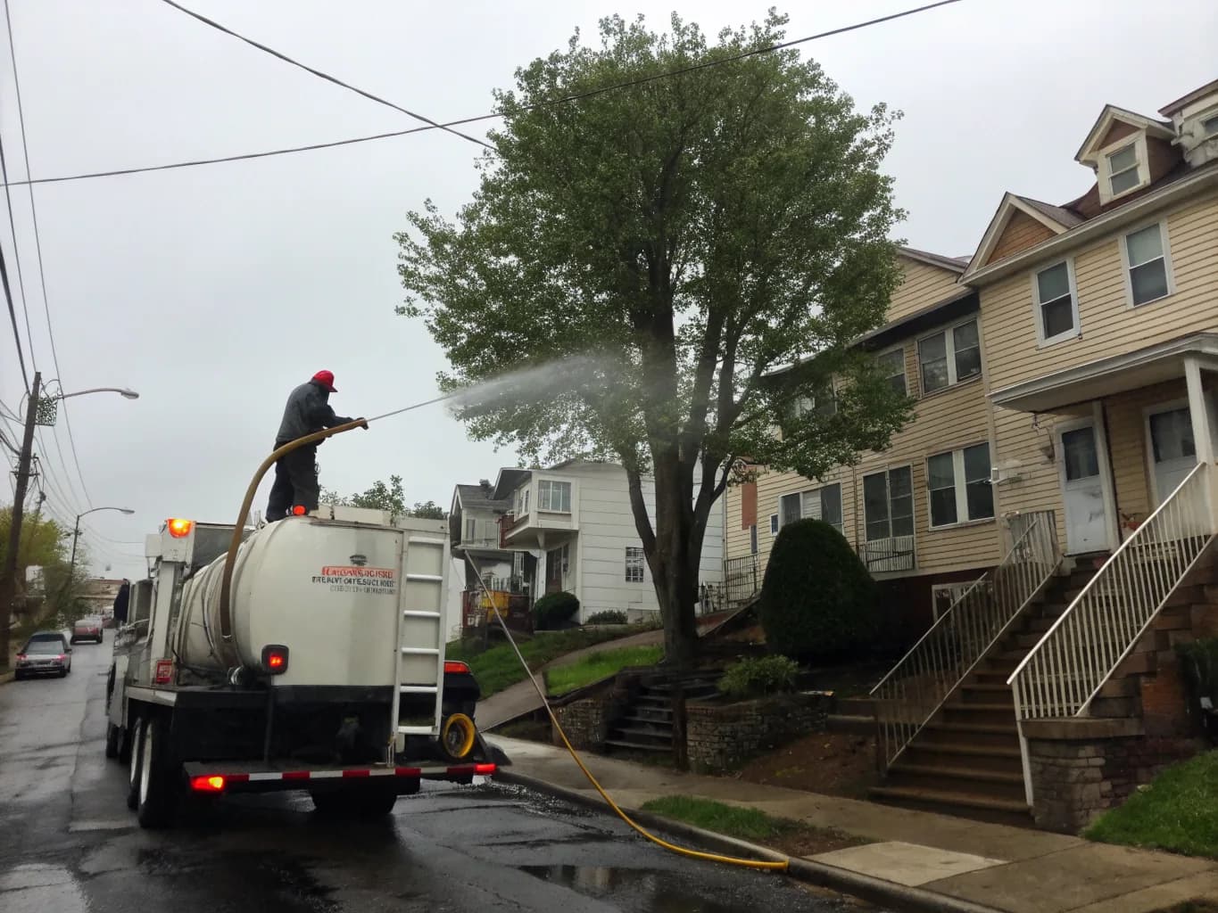 Tree Spraying & Disease Control