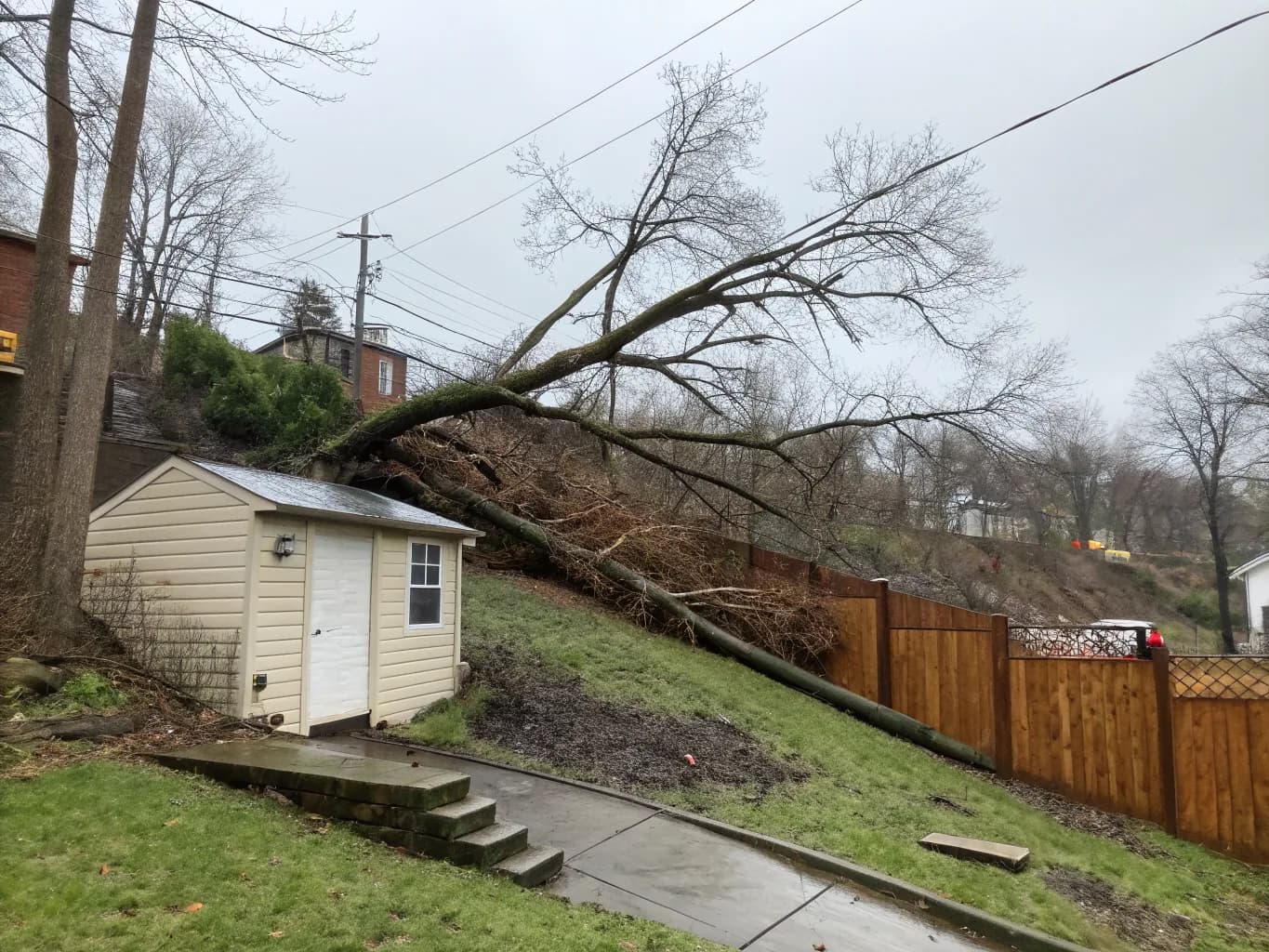 Storm and Wind Work on Dallastown's Slope
