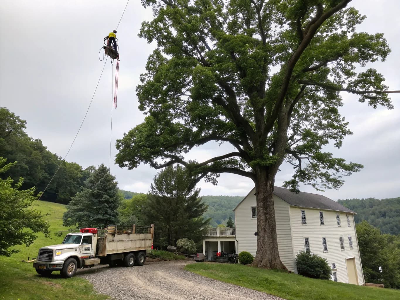 Tree Work Built for Dillsburg Properties