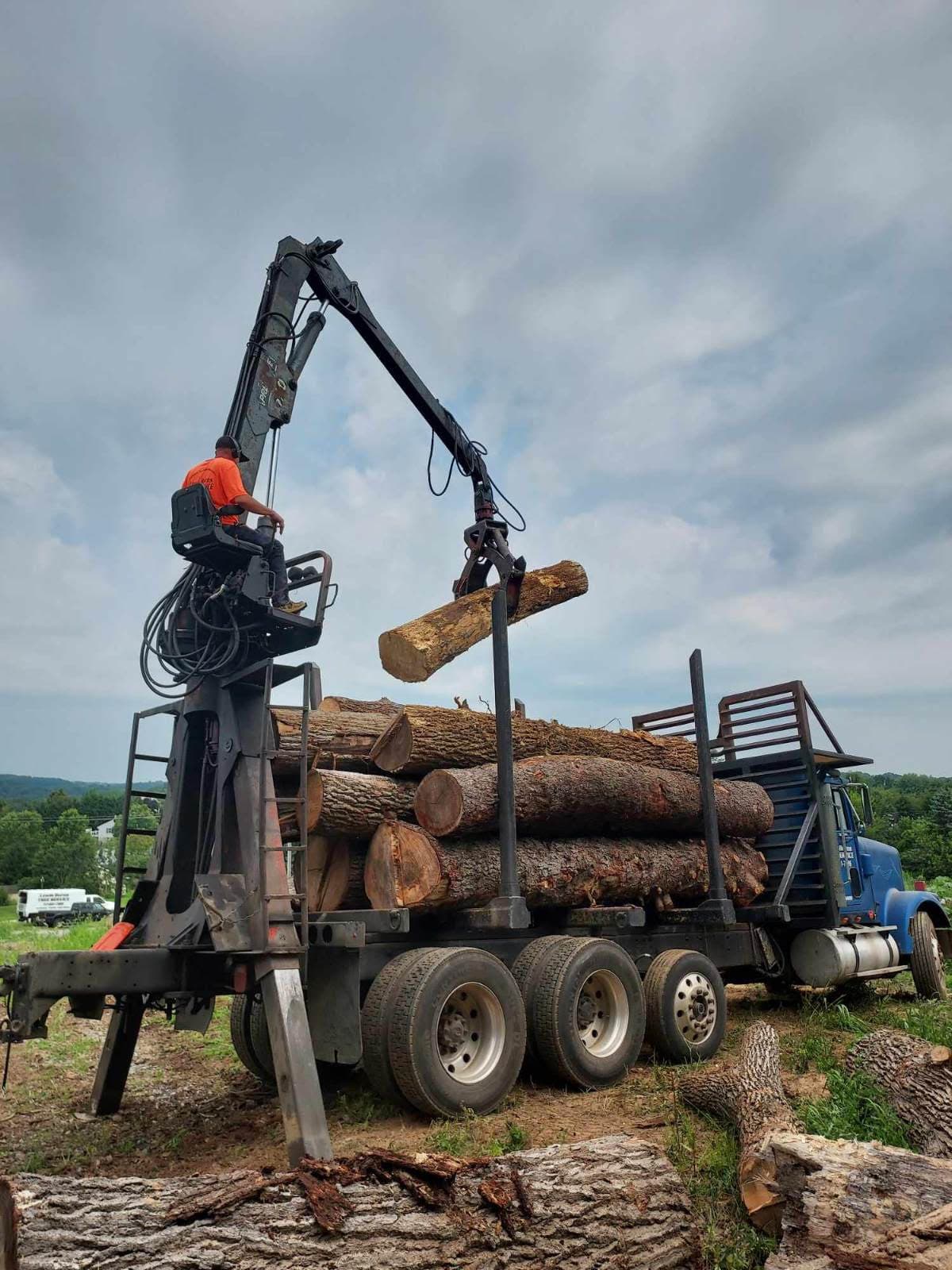 Lewis Burns Tree Service tree removal with grapple machine