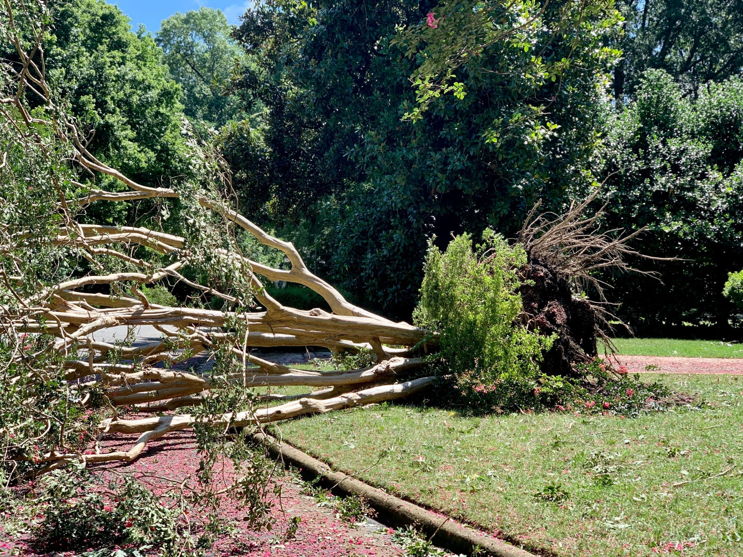 Storm Work Across York County