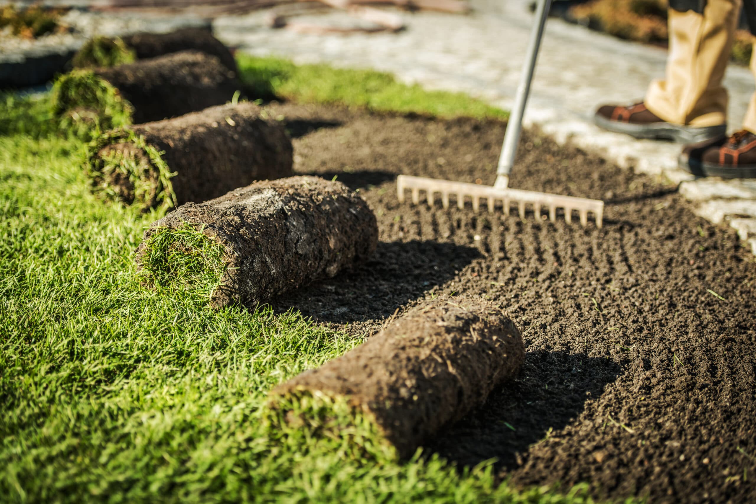 Lawn Care