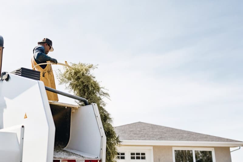 Storm Damage Cleanup